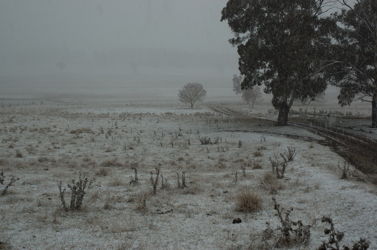 snow snow_pictures : near Ben Lomond, NSW   8 July 2007