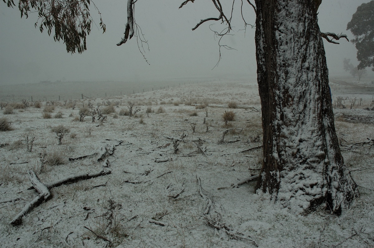 snow snow_pictures : near Ben Lomond, NSW   8 July 2007