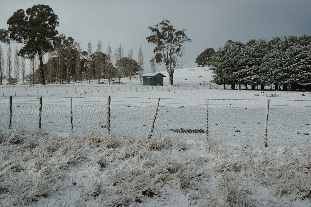 snow snow_pictures : near Ben Lomond, NSW   8 July 2007