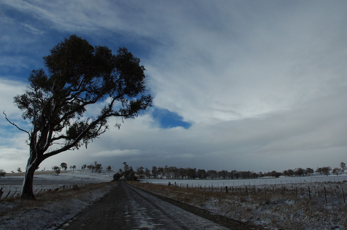 thunderstorm cumulonimbus_incus : near Ben Lomond, NSW   8 July 2007