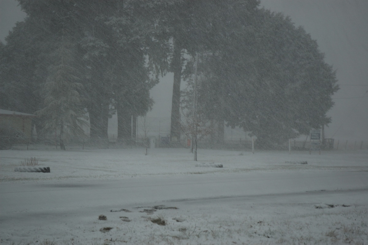 snow snow_pictures : Ben Lomond, NSW   8 July 2007