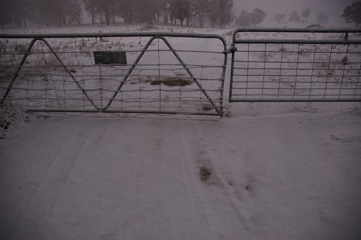 snow snow_pictures : Ben Lomond, NSW   8 July 2007