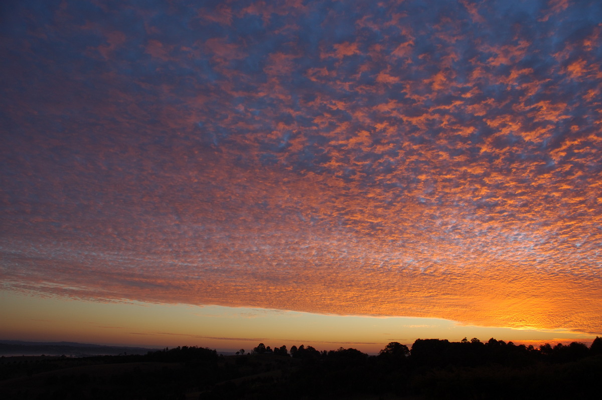 sunrise sunrise_pictures : McLeans Ridges, NSW   2 August 2007