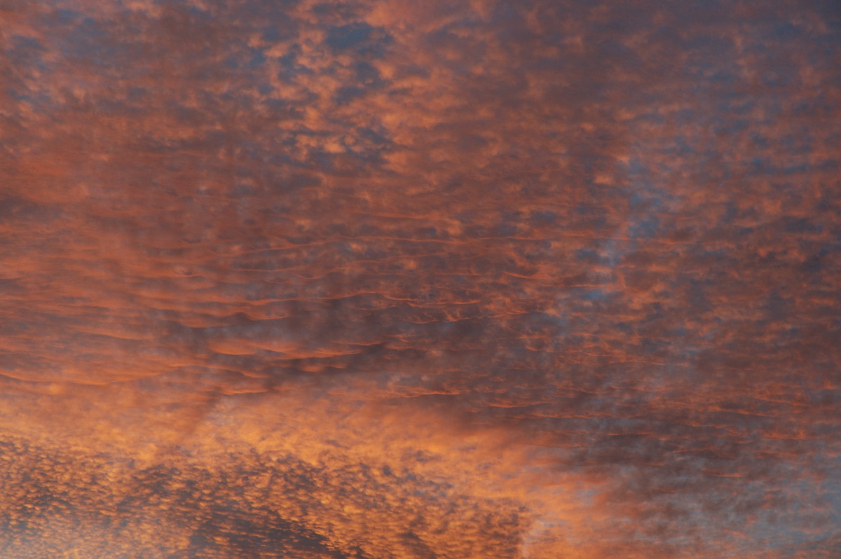 altocumulus altocumulus_cloud : McLeans Ridges, NSW   12 August 2007