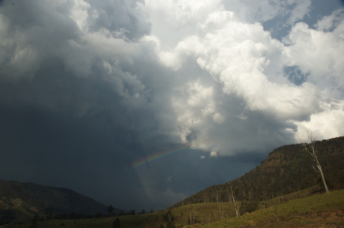 rainbow rainbow_pictures : Border Ranges, NSW   6 October 2007