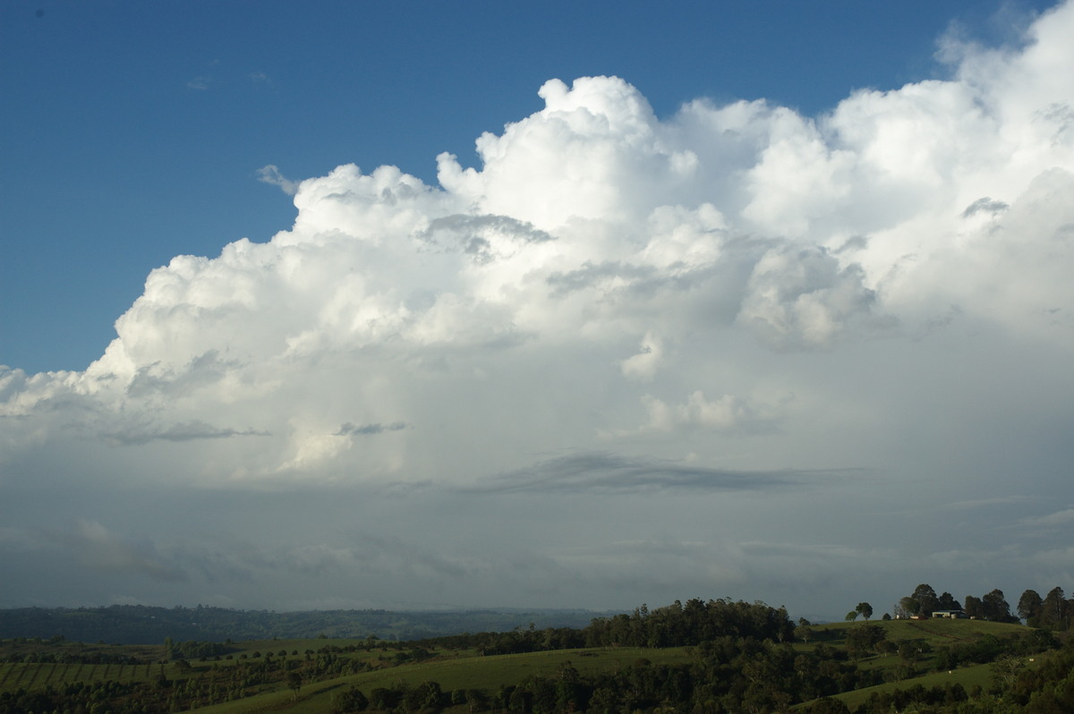 thunderstorm cumulonimbus_incus : McLeans Ridges, NSW   9 October 2007