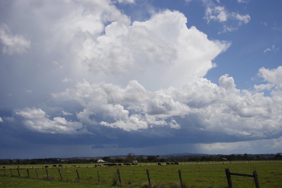 thunderstorm cumulonimbus_incus : Casino, NSW   26 October 2007