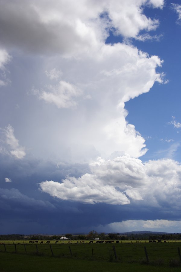 thunderstorm cumulonimbus_incus : Casino, NSW   26 October 2007