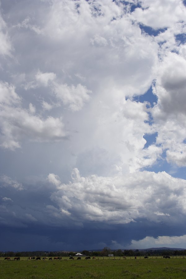 cumulonimbus supercell_thunderstorm : Casino, NSW   26 October 2007