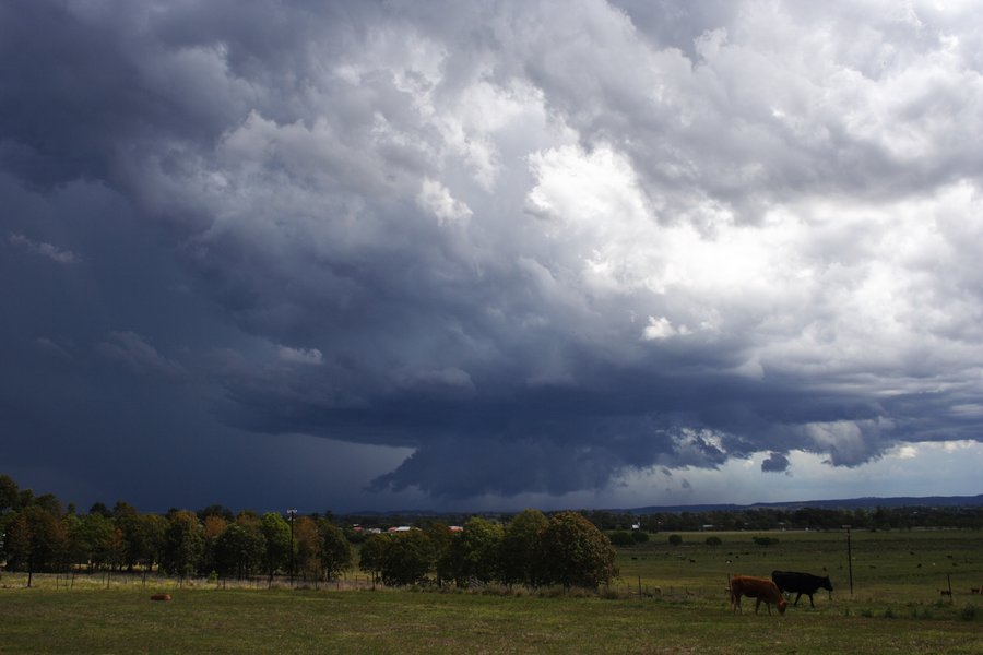 thunderstorm cumulonimbus_incus : Casino, NSW   26 October 2007