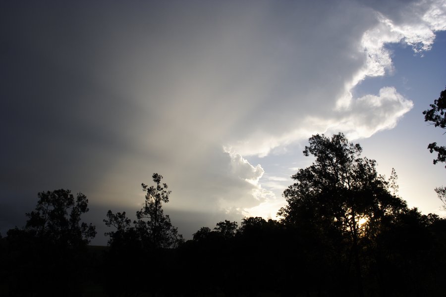 cumulonimbus thunderstorm_base : near Kyogle, NSW   30 October 2007