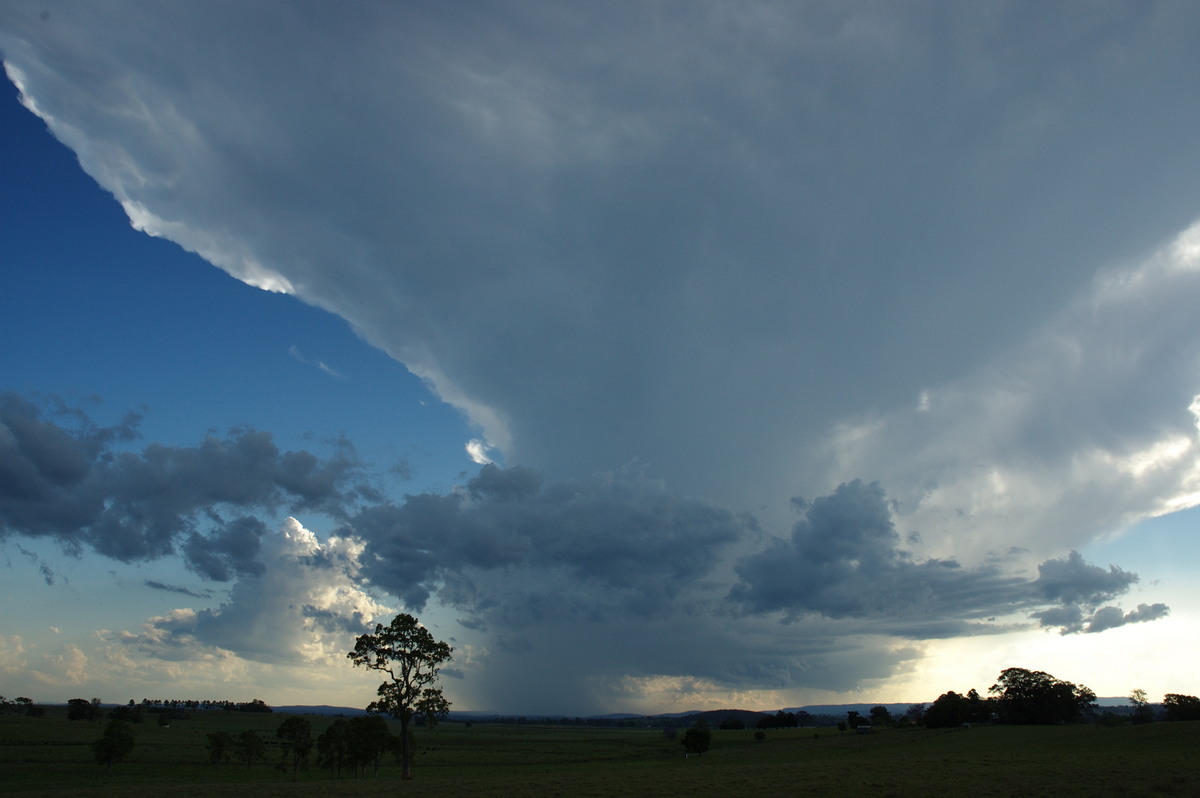 thunderstorm cumulonimbus_incus : near Kyogle, NSW   30 October 2007