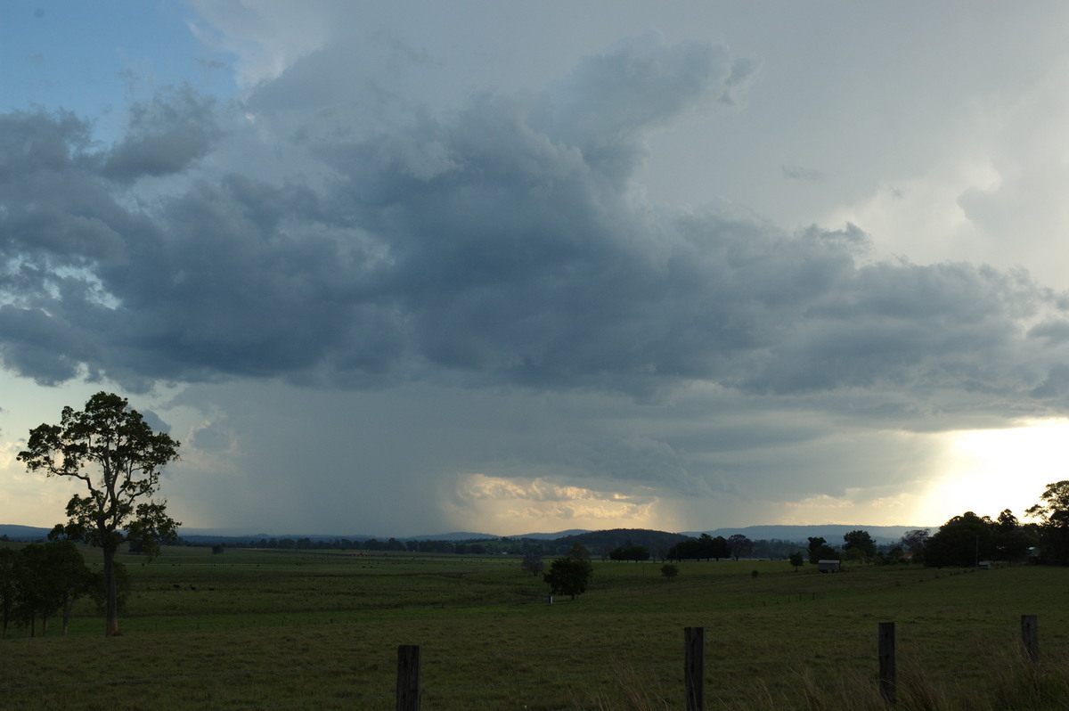 cumulonimbus thunderstorm_base : near Kyogle, NSW   30 October 2007