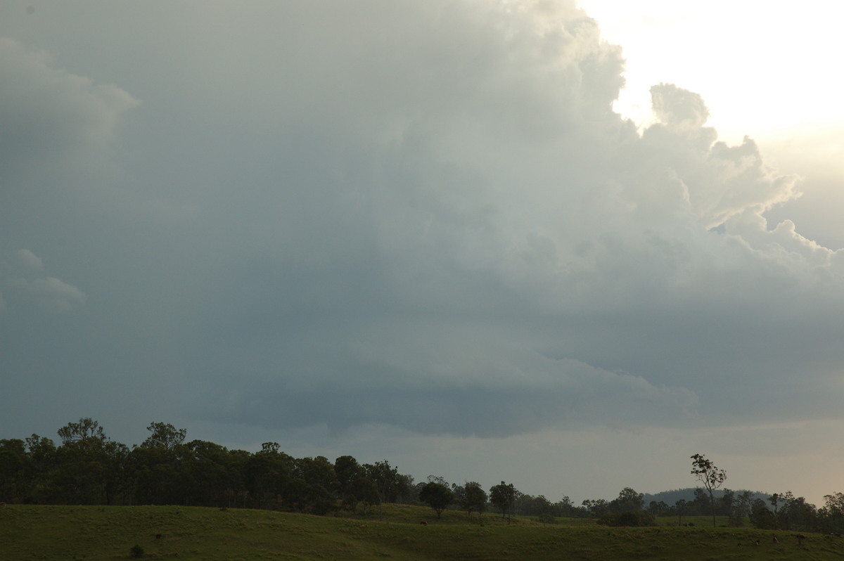 cumulonimbus thunderstorm_base : W of Kyogle, NSW   30 October 2007