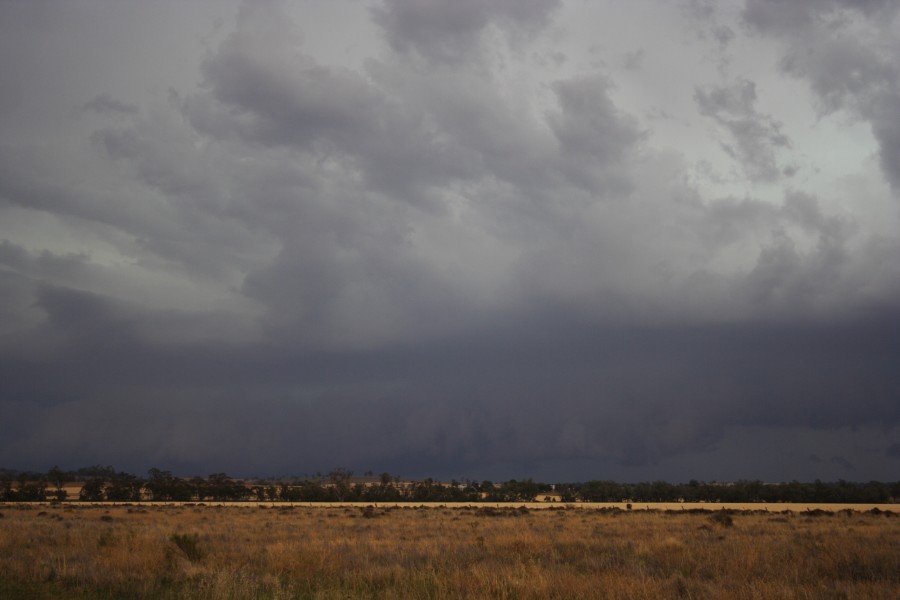 cumulonimbus thunderstorm_base : near North Star, NSW   31 October 2007