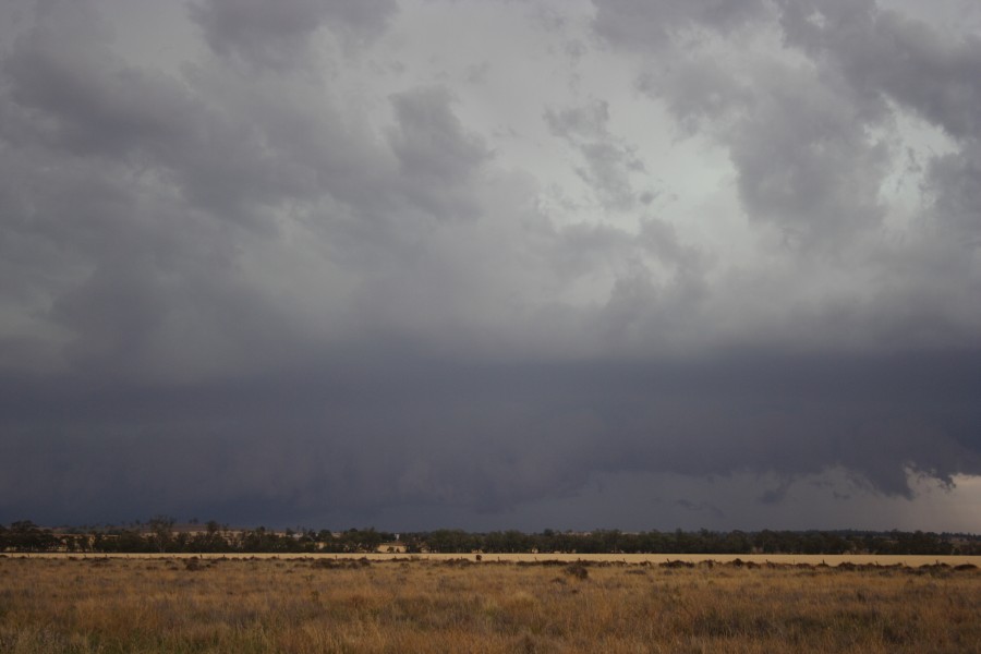 cumulonimbus thunderstorm_base : near North Star, NSW   31 October 2007