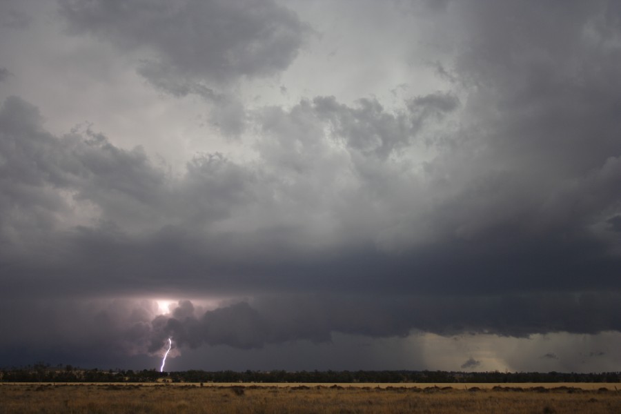 shelfcloud shelf_cloud : near North Star, NSW   31 October 2007