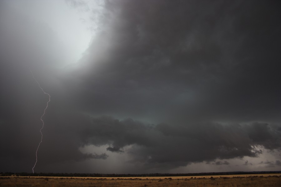 lightning lightning_bolts : near North Star, NSW   31 October 2007