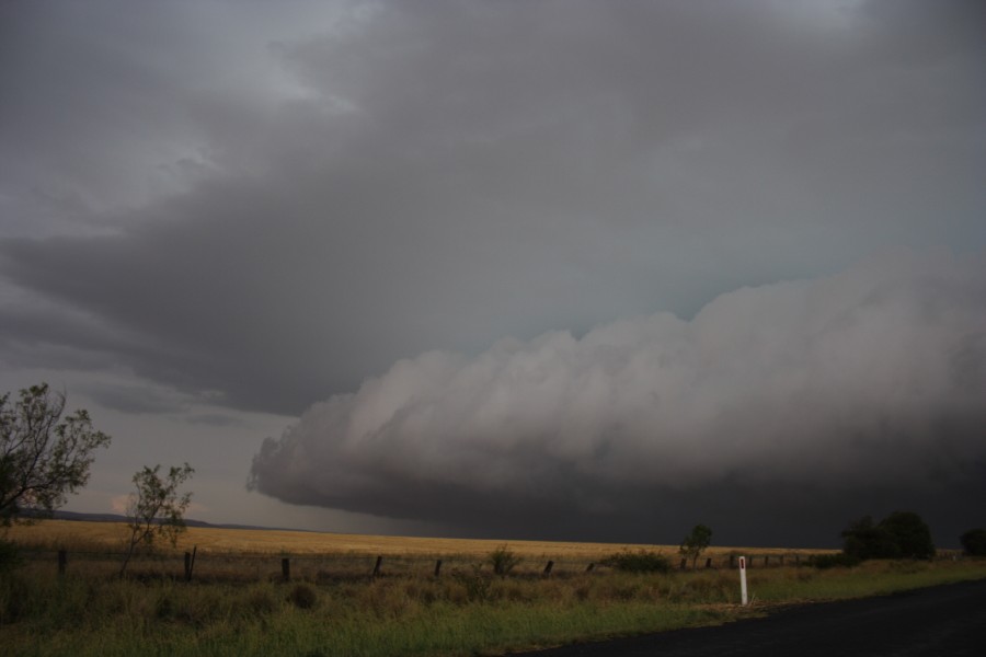 shelfcloud shelf_cloud : near North Star, NSW   31 October 2007