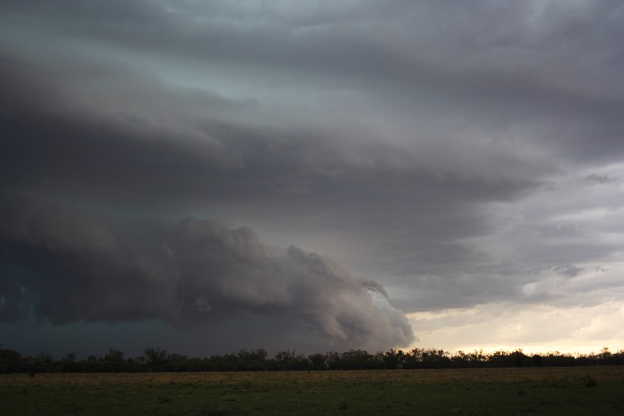 shelfcloud shelf_cloud : near North Star, NSW   31 October 2007