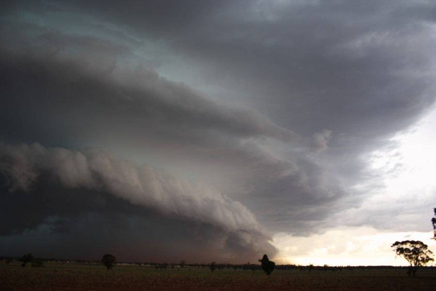 shelfcloud shelf_cloud : near North Star, NSW   31 October 2007