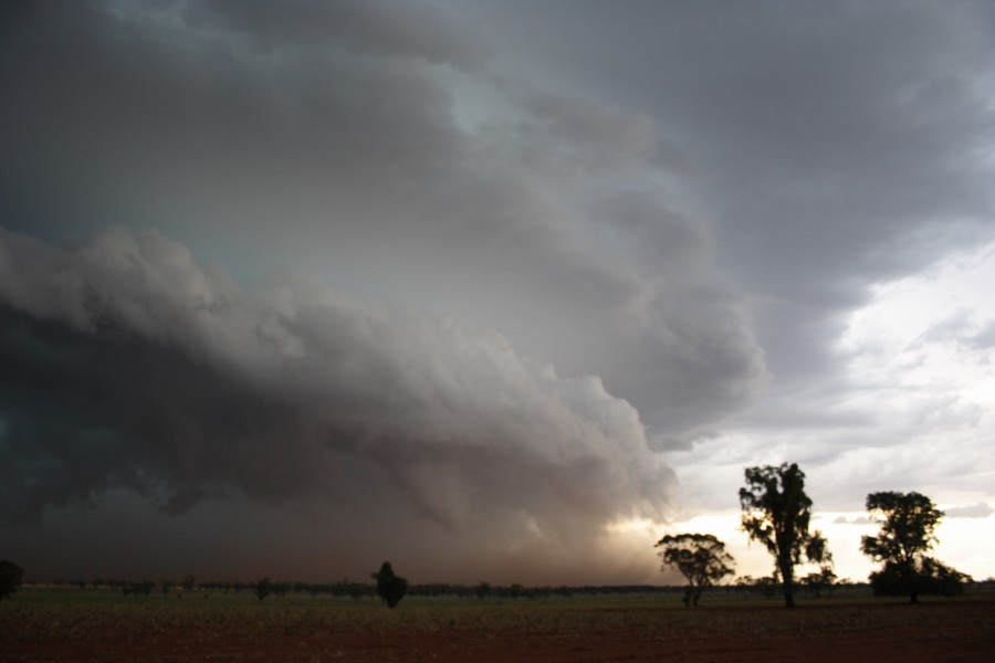 shelfcloud shelf_cloud : near North Star, NSW   31 October 2007