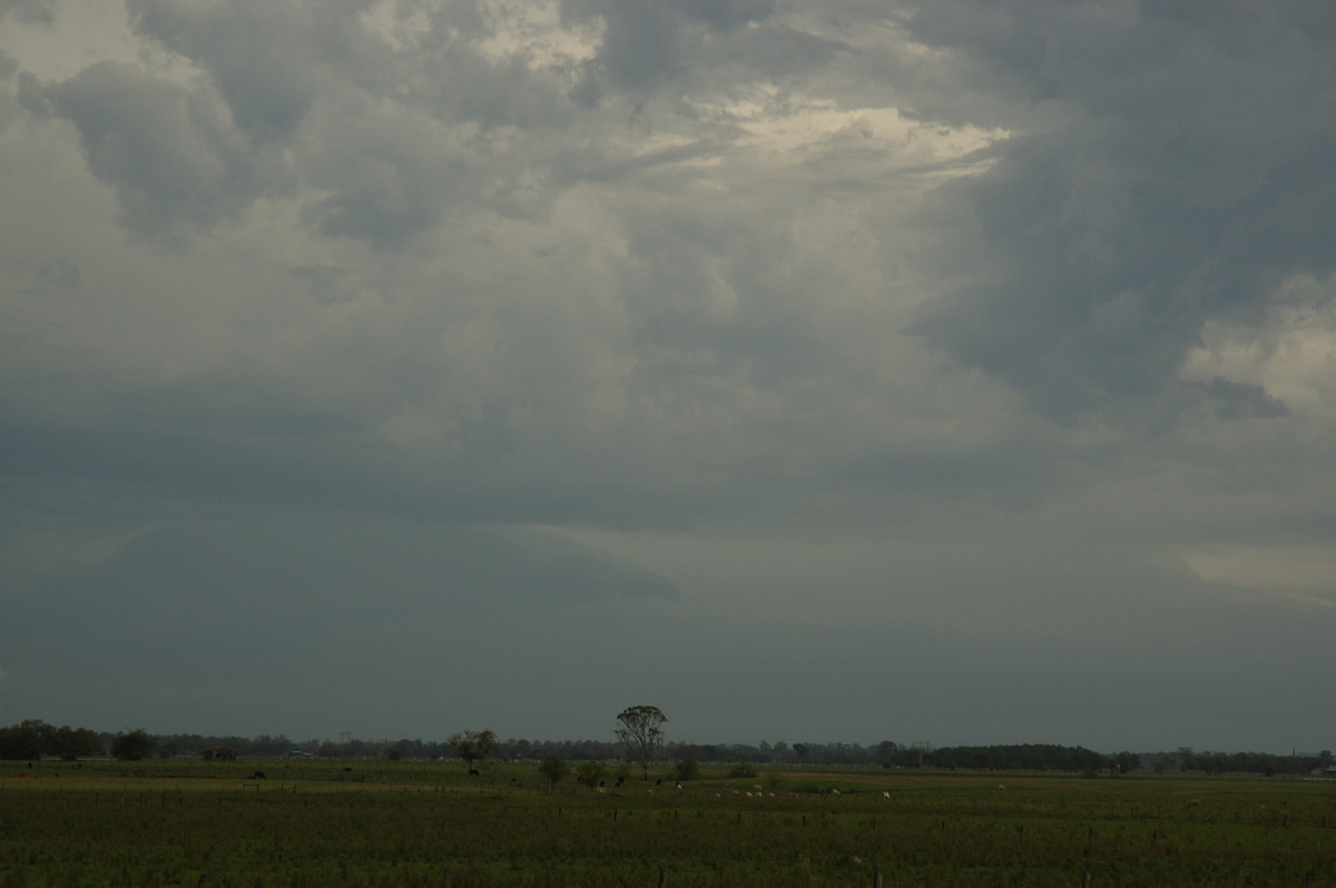 cumulonimbus thunderstorm_base : near Coraki, NSW   31 October 2007