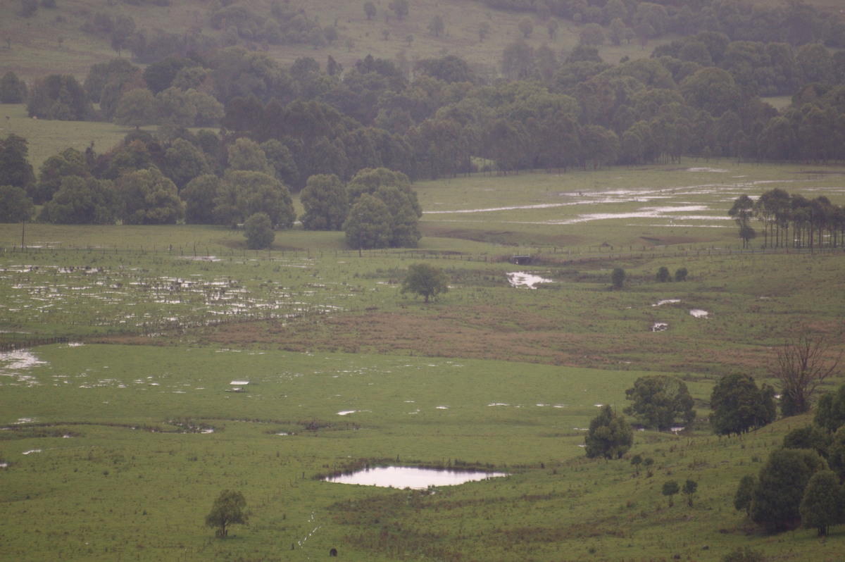 flashflooding flood_pictures : McLeans Ridges, NSW   2 November 2007