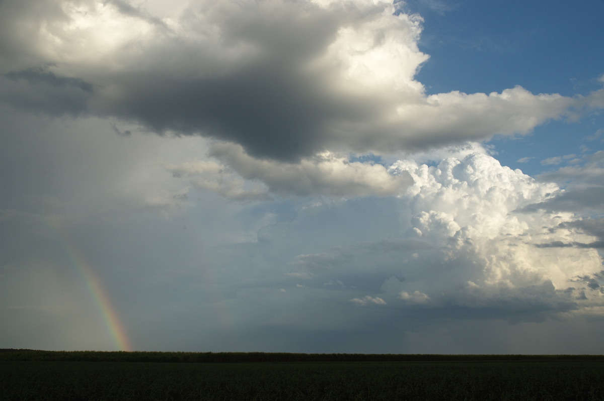 rainbow rainbow_pictures : near Wardell, NSW   4 November 2007