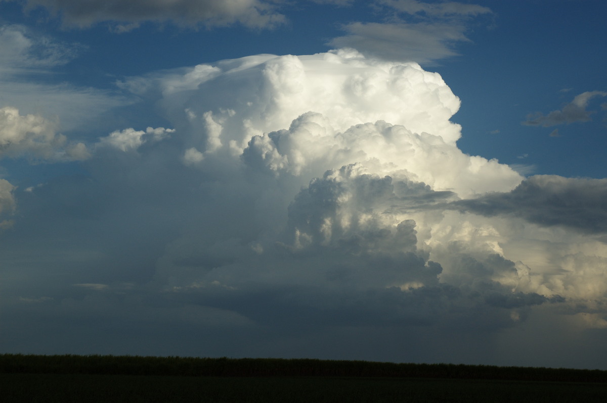 thunderstorm cumulonimbus_incus : near Wardell, NSW   4 November 2007