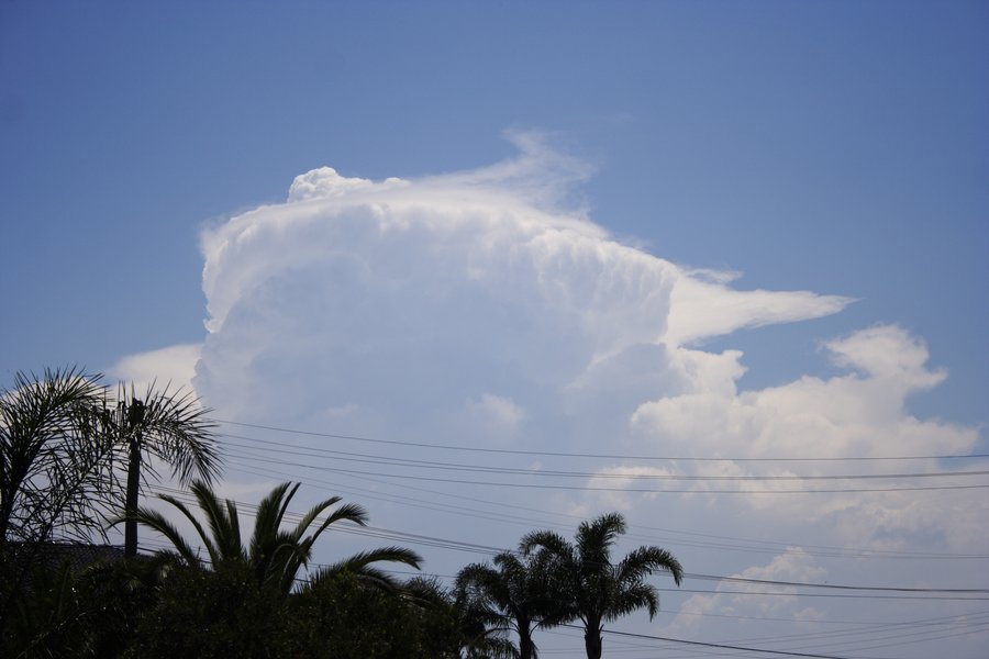 thunderstorm cumulonimbus_incus : Schofields, NSW   15 November 2007