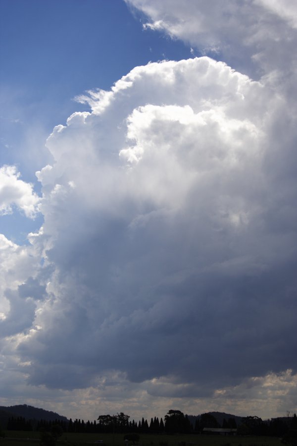 cumulonimbus thunderstorm_base : near Mittagong, NSW   17 November 2007