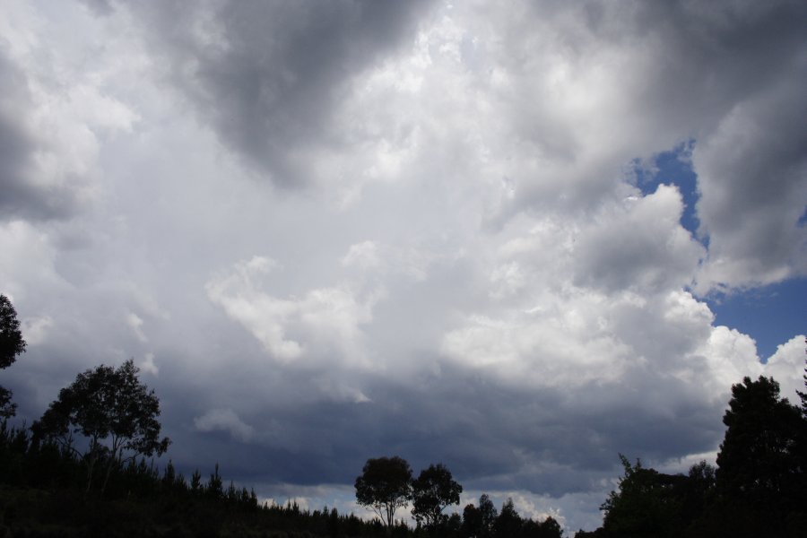 cumulonimbus thunderstorm_base : near Hampton, NSW   19 November 2007