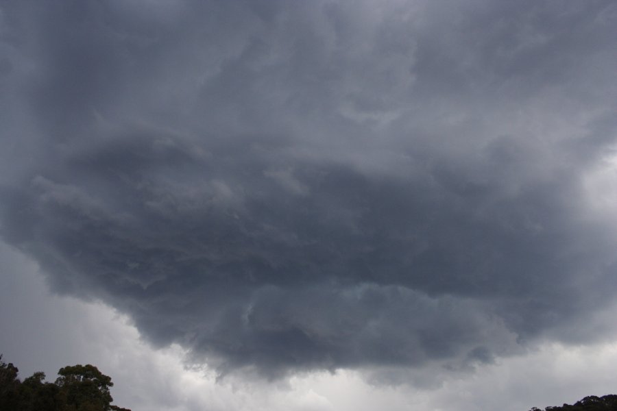 cumulonimbus thunderstorm_base : Lithgow, NSW   19 November 2007