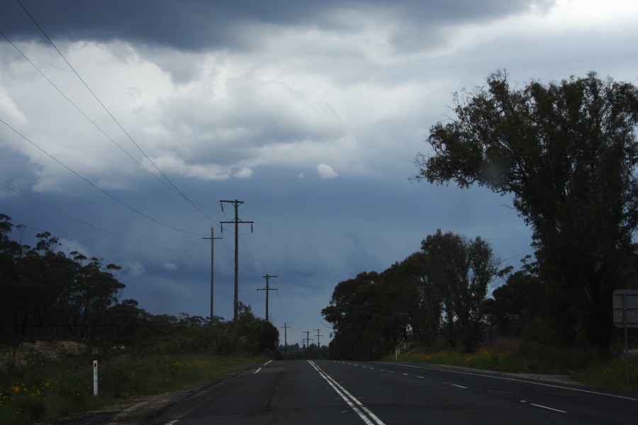 cumulonimbus thunderstorm_base : near Mt Victoria, NSW   21 November 2007