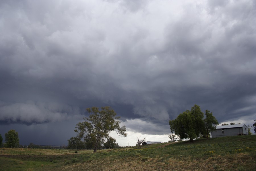 cumulonimbus thunderstorm_base : Tamworth, NSW   22 November 2007