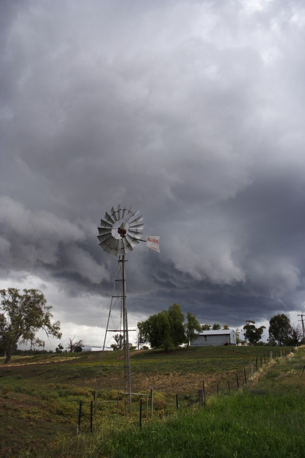 cumulonimbus thunderstorm_base : Tamworth, NSW   22 November 2007