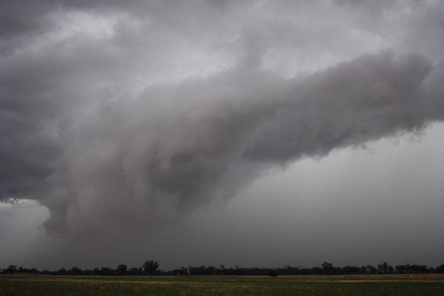 shelfcloud shelf_cloud : Manilla, NSW   22 November 2007