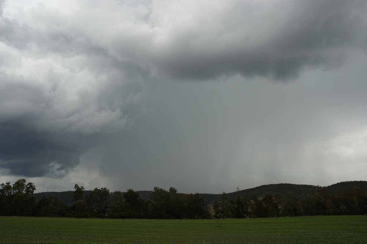 raincascade precipitation_cascade : W of Tenterfield, NSW   23 November 2007