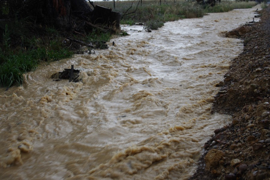 flashflooding flood_pictures : N of Gulgong, NSW   1 December 2007