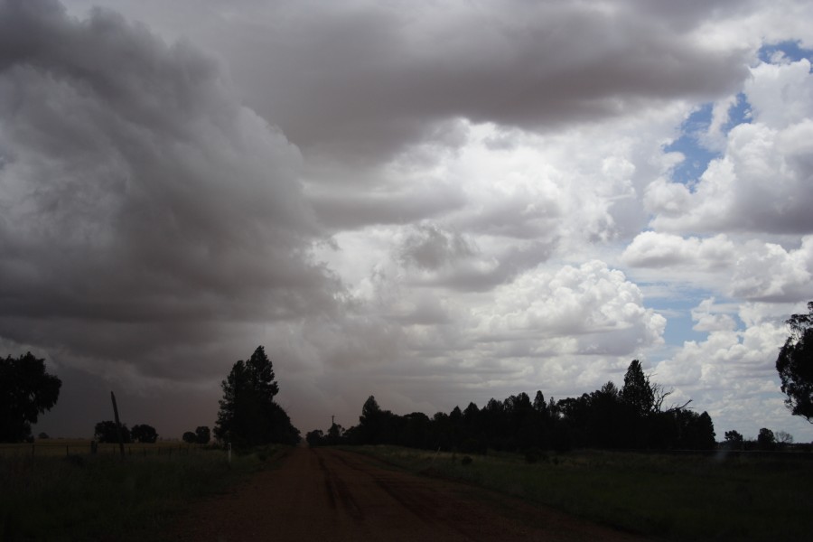 shelfcloud shelf_cloud : SW of Narromine, NSW   3 December 2007