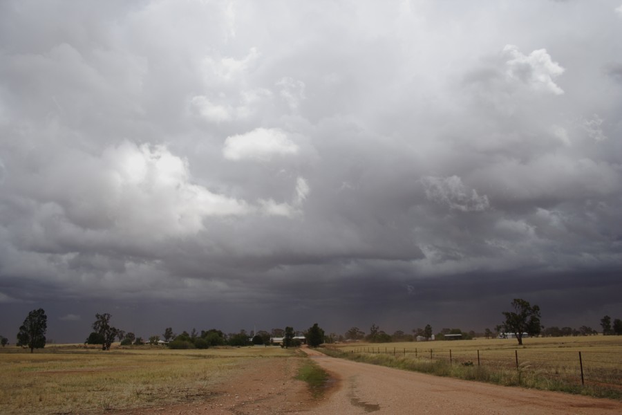 cumulonimbus thunderstorm_base : SW of Narromine, NSW   3 December 2007