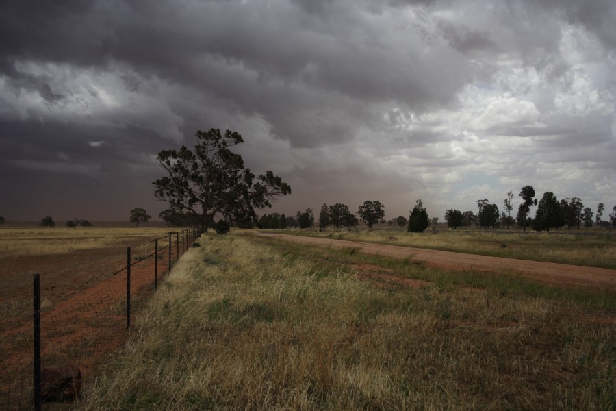 shelfcloud shelf_cloud : SW of Narromine, NSW   3 December 2007