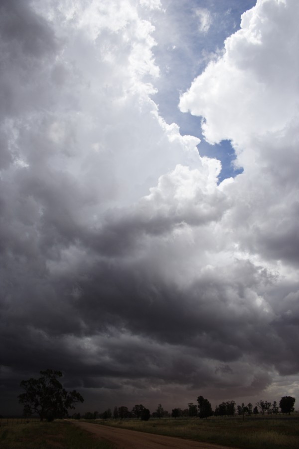 cumulonimbus thunderstorm_base : SW of Narromine, NSW   3 December 2007