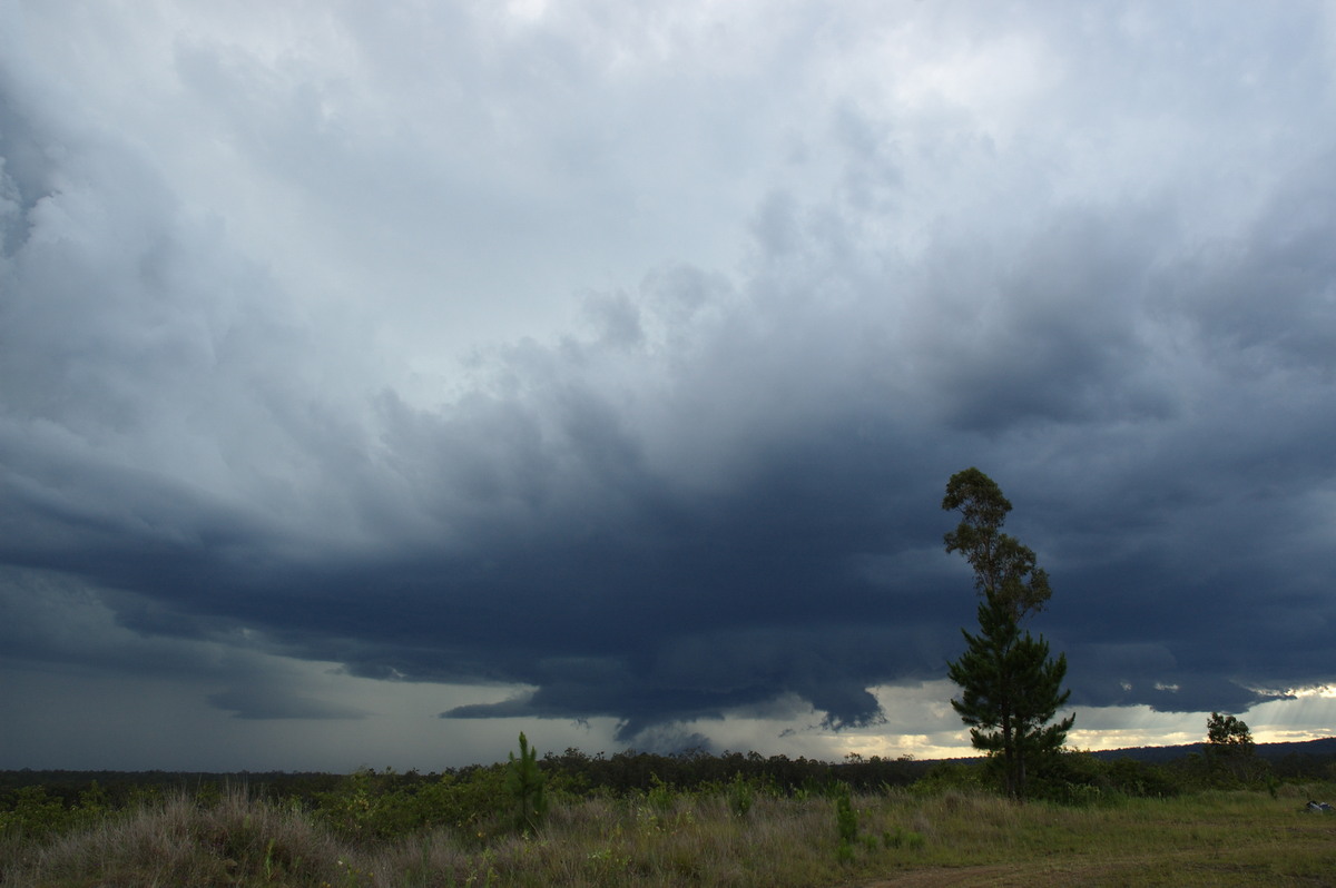 cumulonimbus thunderstorm_base : Whiporie, NSW   4 December 2007