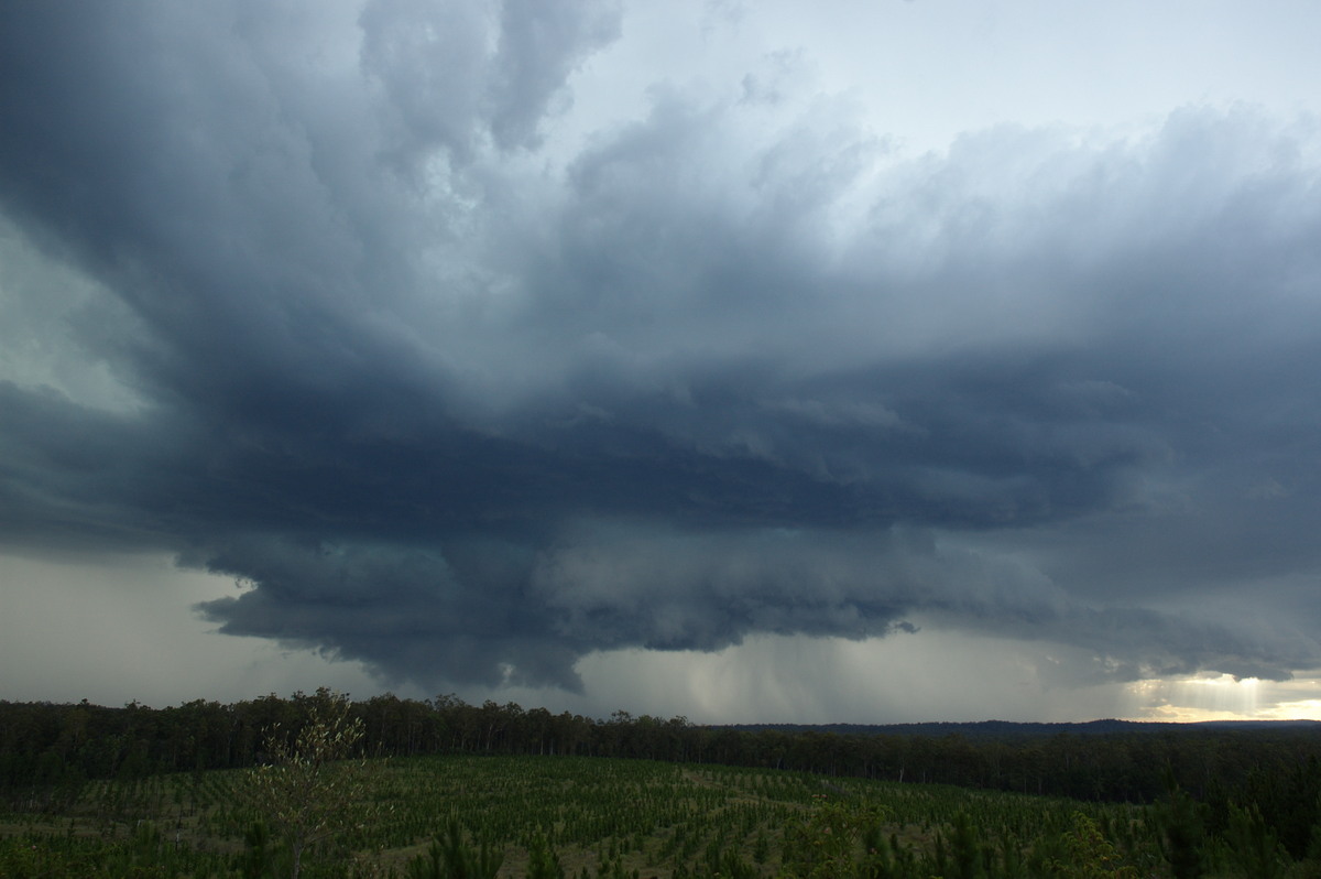 cumulonimbus thunderstorm_base : Whiporie, NSW   4 December 2007