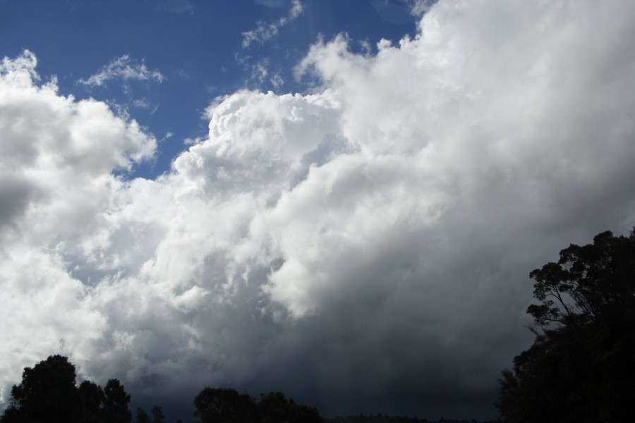 updraft thunderstorm_updrafts : N of Dorrigo, NSW   5 December 2007