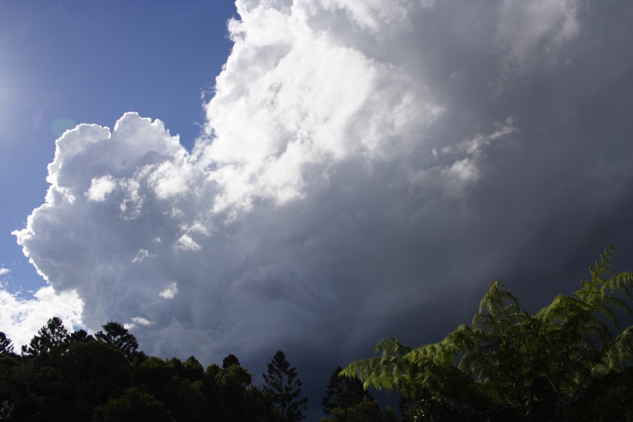 updraft thunderstorm_updrafts : N of Dorrigo, NSW   5 December 2007