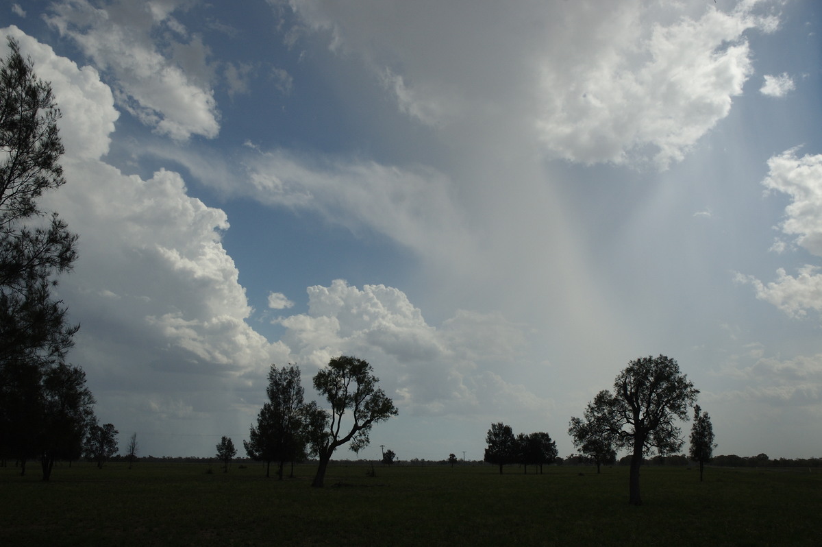 microburst micro_burst : near Gulargambone, NSW   8 December 2007