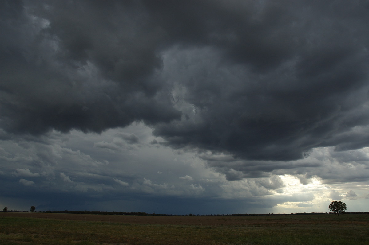 cumulonimbus thunderstorm_base : near Boomi, NSW   9 December 2007